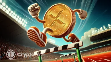 Is Ripple (XRP) Ready for Another 1500% Surge Like 2017