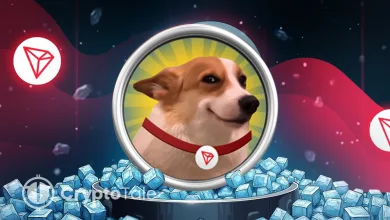 Is SUNDOG’s 64% Surge Just the Beginning of Bigger Gains