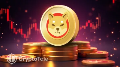 SHIB at Crossroads Technical Patterns Signal Major Move