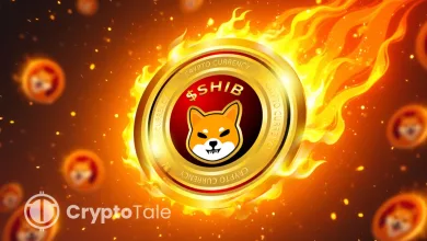 Shiba Inu Burn Rate Soars – Will It Trigger a Breakout?