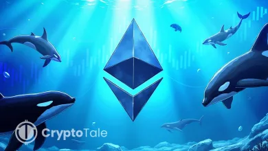 Whale Moves 23,330 ETH Is ETH Heading for a Bearish Phase