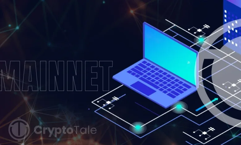 What Is a Mainnet in Cryptocurrency A Beginner's Guide