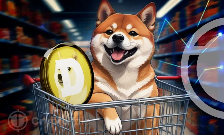 A Comprehensive Review on Dogecoin A Coin Created as A Joke