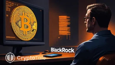 Bitcoin's Market Struggles Despite Rising Institutional Adoption