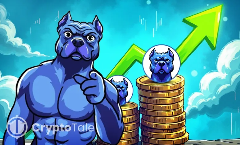 Doginme Token Surges Over 150% After A Whale Purchase