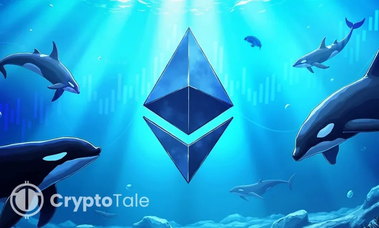 High Risk! High Reward! ETH Whale Makes $2.15M in 50 Minutes