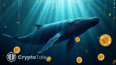 Multiple Whales Move SOL Worth $1B - Market Shift Ahead