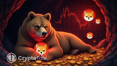 SHIB Faces Bearish Pressure as Funding Rates Show Volatility