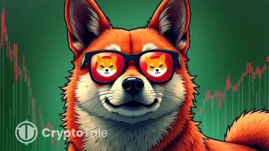 SHIB Leads Market with 76% Long-Term Holder Rate