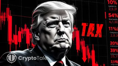 Trump’s Tax Cuts and Tariffs What’s Next for the Economy