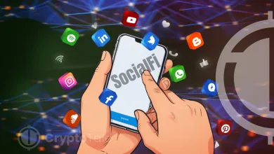 What is SocialFi How Does it Work A Beginners Guide