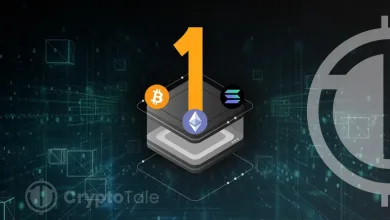 The Role of Layer 1 Blockchains in the Crypto Ecosystem