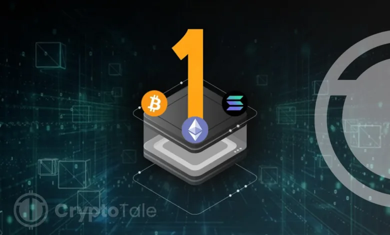 The Role of Layer 1 Blockchains in the Crypto Ecosystem