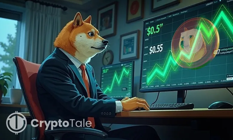 Can Dogecoin Bounce Back With Rising Network Participation?
