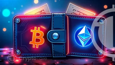 Crypto Wallet A Consolidated Guide to Protect Your Keys