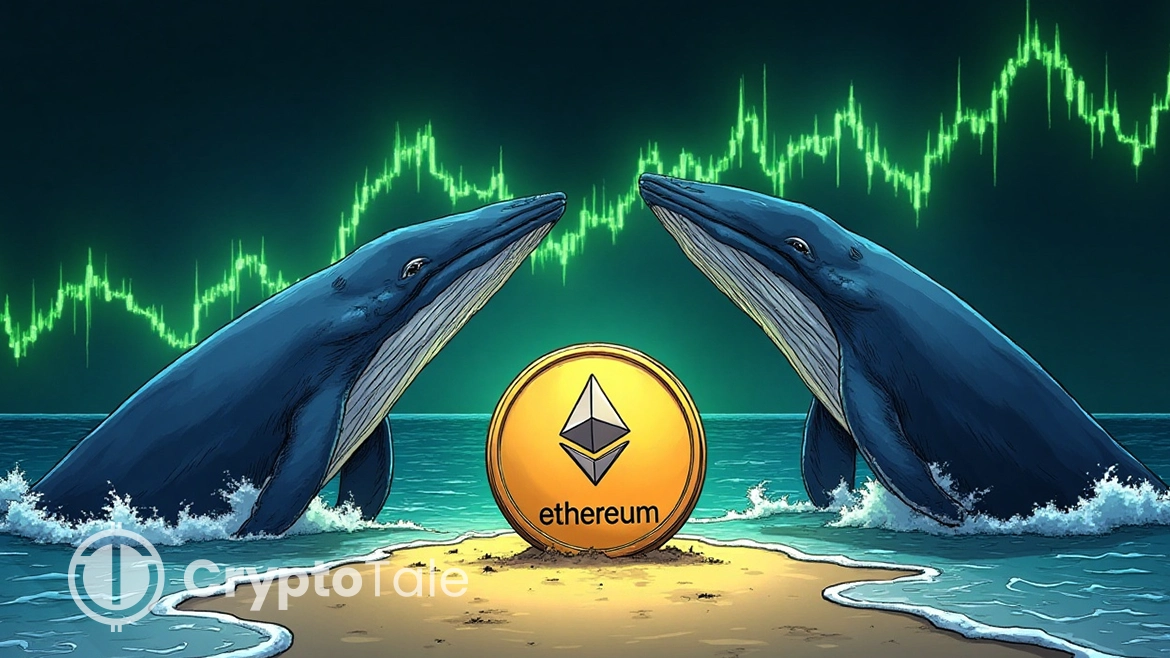 Ethereum Holds Above $2,400 as Whales Fuel Bullish Momentum