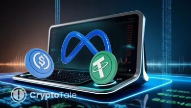 Meta Plans Support for USDT and USDC in Platform Payments