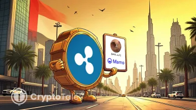 Ripple Partners With Zand and Mamo to Boost Fast Payments