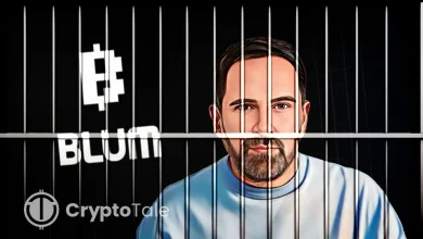 Vladimir Smerkis Held in Russia Over Major Crypto Fraud Case