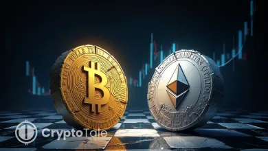 Bitcoin Leads the Market as Ethereum Slides Below EMA Levels