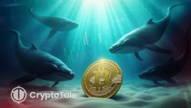 Bitcoin Whales Continue Sell-Off as Profits Hit Rare 16% High