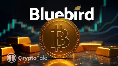 Bluebird Mining Secures £2M Loan to Adopt Bitcoin Treasury