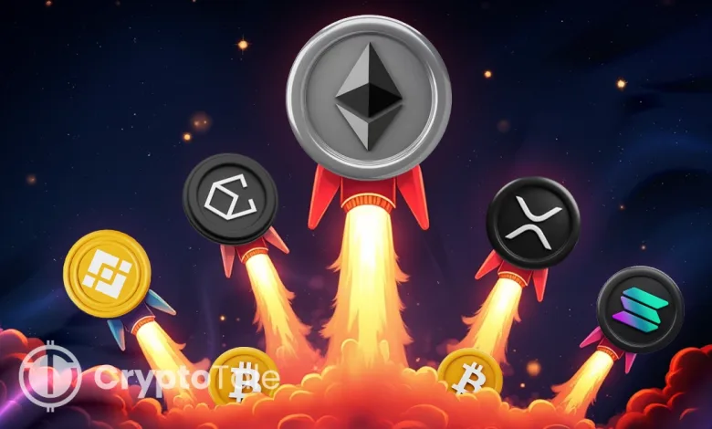 Altcoin Momentum Builds as BTC Dominance Continues to Drop