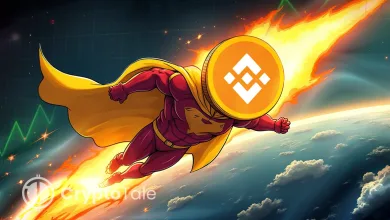 BNB Hits $804 All-time High as Altcoin Market Heats Up