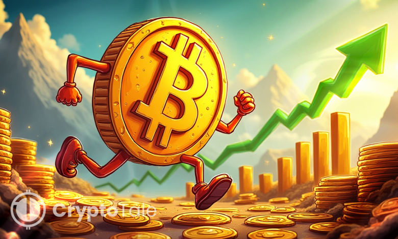 Bitcoin Defies Extreme Bear Pressure with $117K Rebound