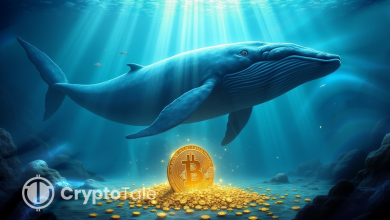 Bitcoin’s Power Shift: Whales Exit, Institutions Step In