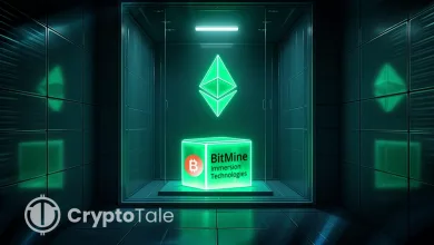 Ethereum Treasuries Surge as BitMine, BTCS Lead New Strategy