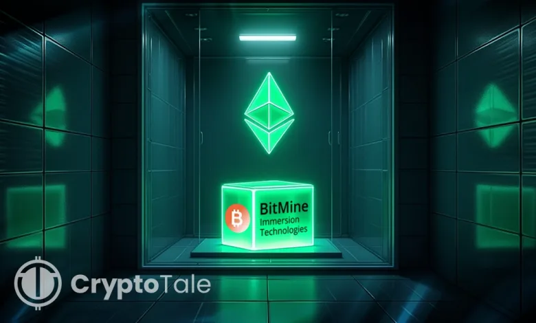 Ethereum Treasuries Surge as BitMine, BTCS Lead New Strategy