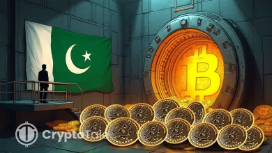 Pakistan Launches First Crypto Regulator, Embraces BTC