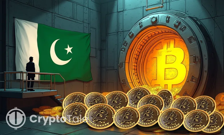 Pakistan Launches First Crypto Regulator, Embraces BTC