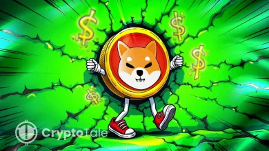 SHIB Bullish Setup Sparks Hopes of 1,500%+ Price Rally