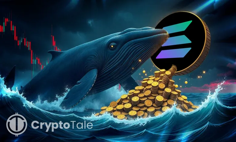 Whale Moves 66,330 SOL to Binance, Totaling $116.36M in 2025