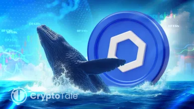 Chainlink Targets $30 as Whale Activity and OI Hit Records
