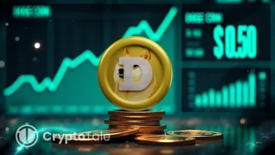 Dogecoin Gains Momentum as Analysts See $1 on the Horizon