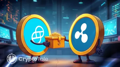 Gemini’s IPO Filing Reveals Ripple’s $75M Credit Deal