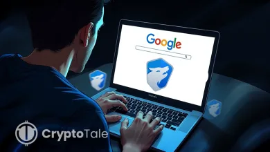 Google Becomes Largest TeraWulf Shareholder at 14%