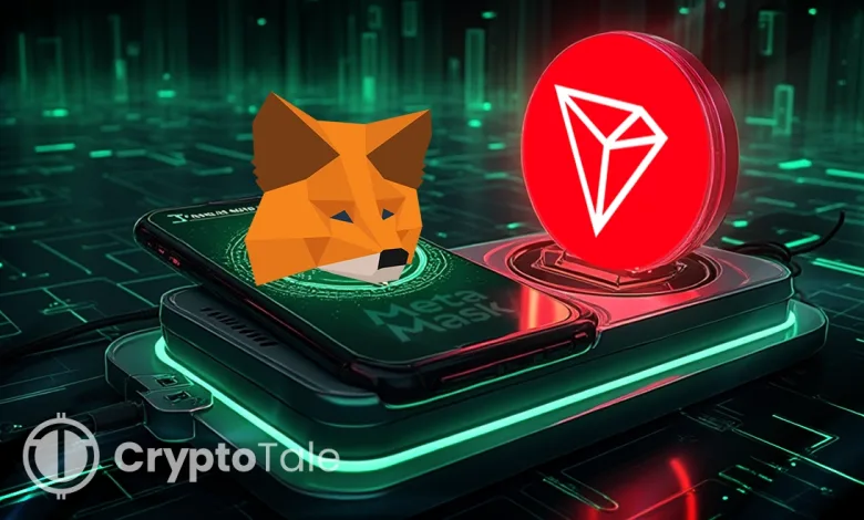 MetaMask Partners with Tron to Enhance Cross-Chain Ecosystem