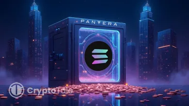 Pantera Eyes $1.25B to Build Solana Public Investment Firm