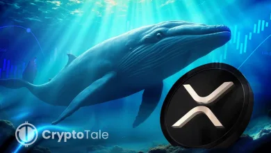 Whales Buy 50M XRP, Pushing Price Rally Toward $3.40 Resistance