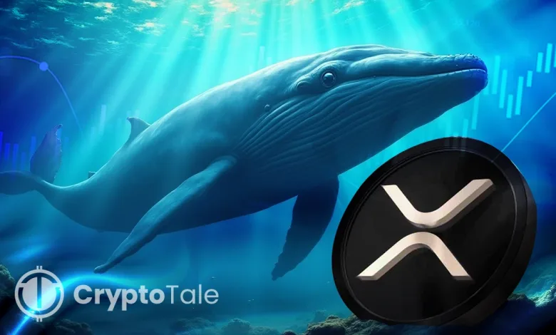 Whales Buy 50M XRP, Pushing Price Rally Toward $3.40 Resistance