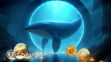 Fed Rate Cut Leads to Whale Moves in ETH, SOL, XRP, and BTC