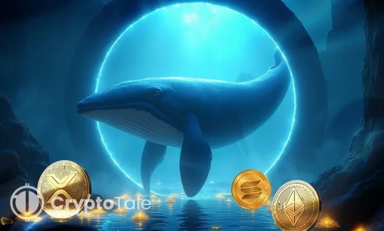 Fed Rate Cut Leads to Whale Moves in ETH, SOL, XRP, and BTC