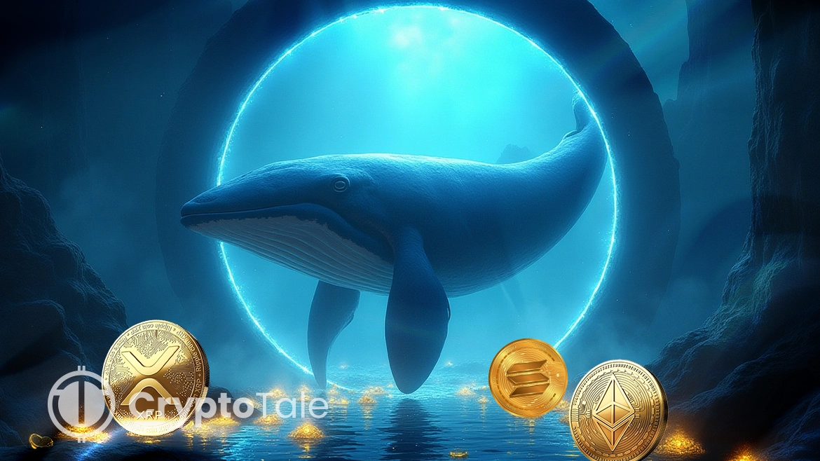 Fed Rate Cut Leads to Whale Moves in ETH, SOL, XRP, and BTC