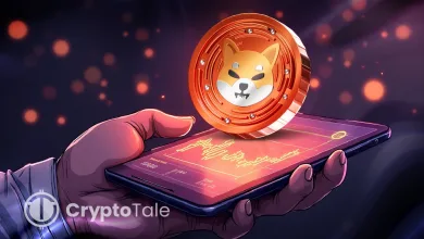 SHIB Faces Critical Support Will October Bring a Bullish Shift