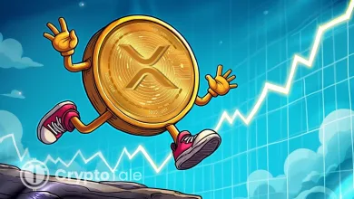 XRP Prepares for ETF Decisions as BXE Expands Media Payments