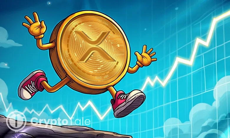 XRP Prepares for ETF Decisions as BXE Expands Media Payments